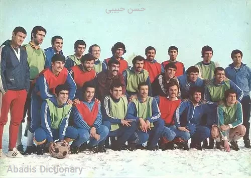 حسن حبیبی